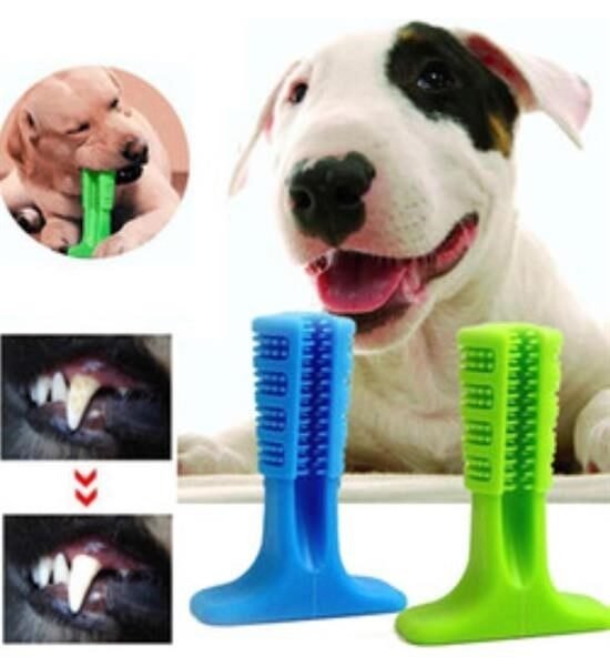 BUFFER® Köpek Diş Temizleyici ve Kaşıyıcı Sağlıklı Küçük Boy Oyuncak